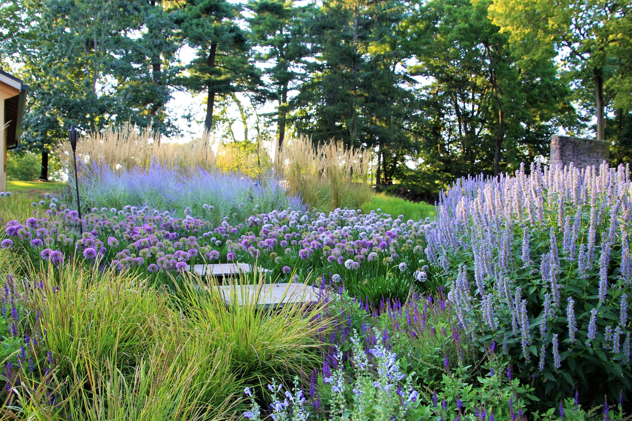 Wild, Magical Gardens by Design Your source for native plant news