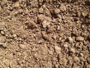 soil-422416__340